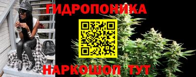 трава Гусиноозёрск