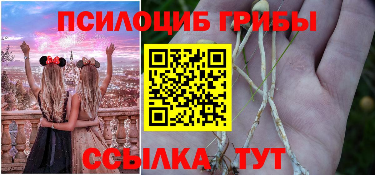 Галлюциногенные грибы мицелий Миасс
